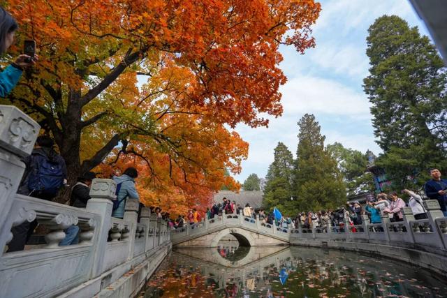 现在，香山“秋日皮肤”已加载85%！来查收