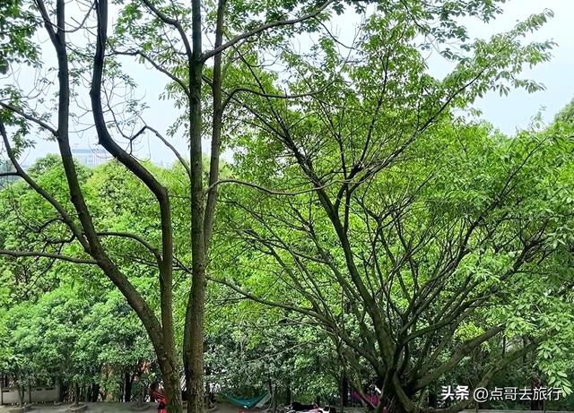 成都彭州被冷落的寺庙，殿宇壮观恢宏，位置堪称上乘，不要门票！