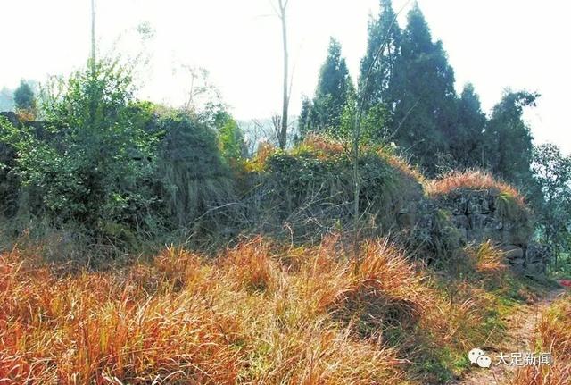 重庆老寨子：每8公里一个的山顶奇观