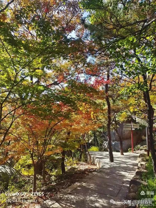 青岛崂山华严寺：山海间的禅意清响｜申艳娟