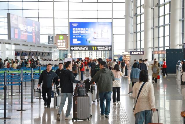 300元封顶！从宁波“打飞的”能去哪儿？