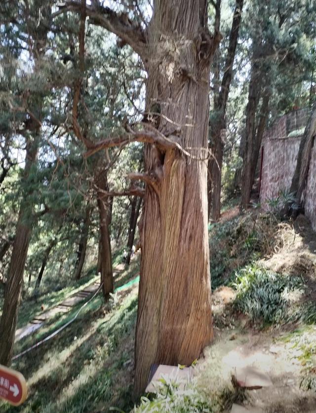 游梓潼七曲山大庙