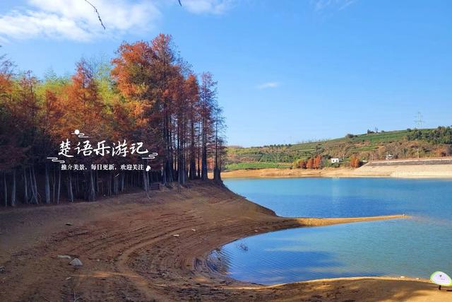 浙江绍兴的网红水库，因红杉胜境而出圈，具体怎么游请看详细攻略