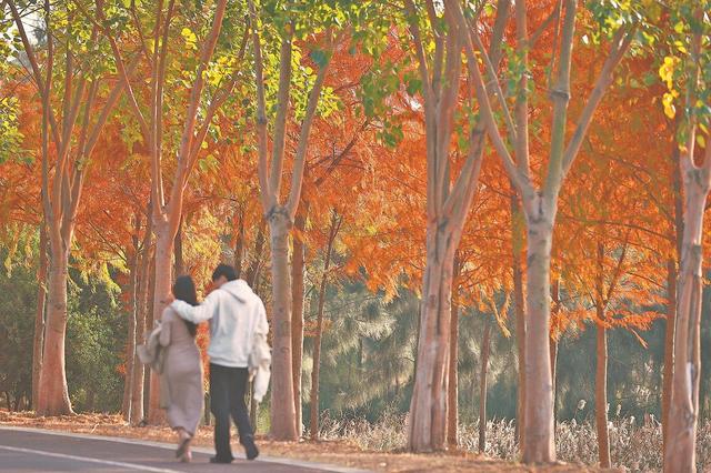 在泉州焦糖森林邂逅冬日梦幻