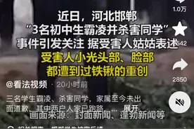 被害男孩后续，同学曝光男孩被欺负惊人细节，嫌疑人都是留守儿童图片