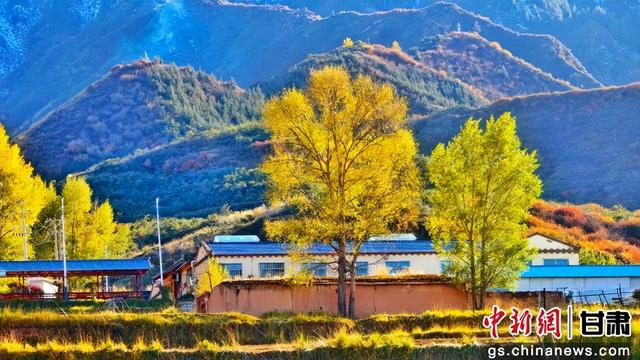 甘肃民乐：祁连山金色秋景如画卷