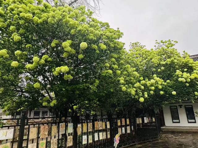 春假6天，不出门