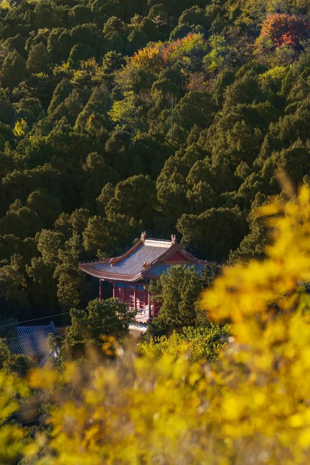 收藏一个秋天，石景山绝美秋色大公开