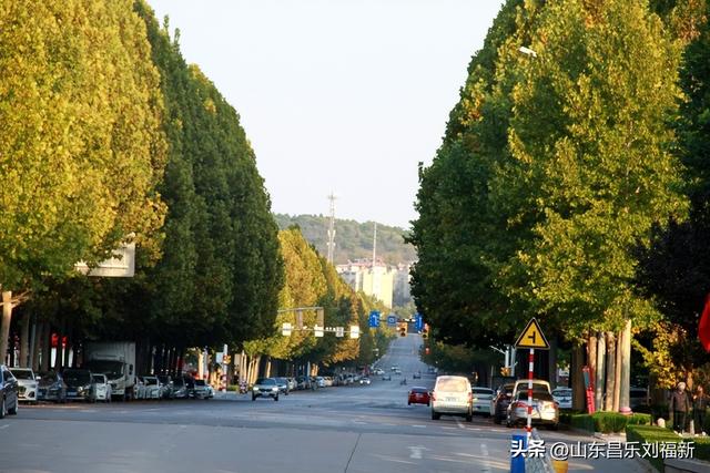 偶遇贾江虹·刘文顺先生来访