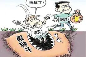 销售假劣种子两人获刑 法院责令5年内不得担任种子企业法定代表人图片