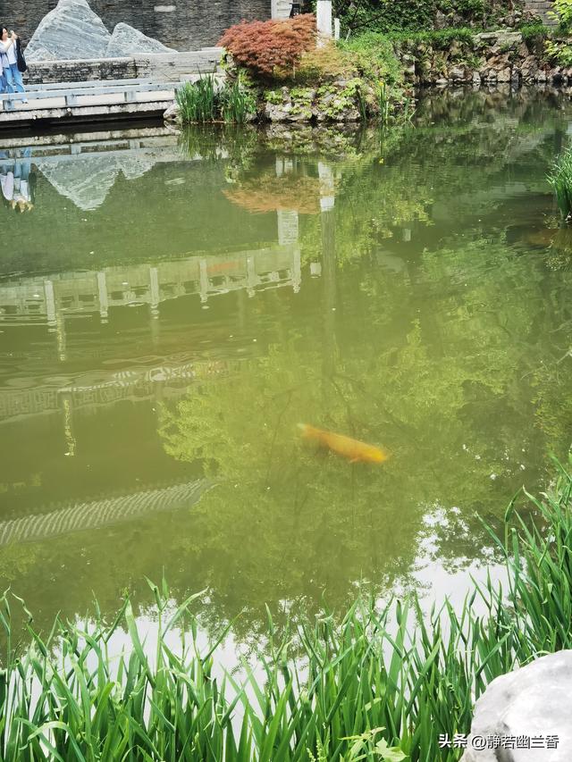 拥抱春天的绿水青山