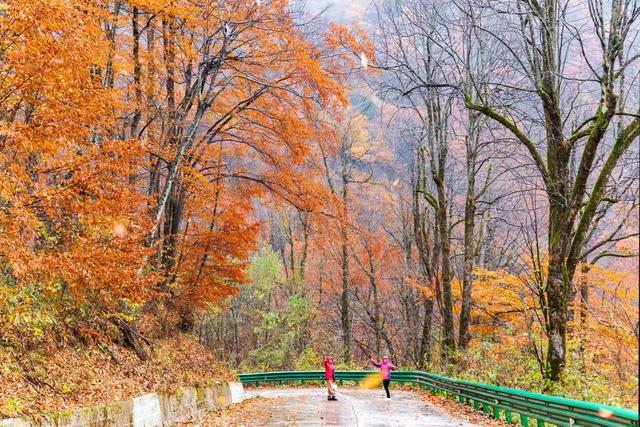 雾锁龙头山，秋染万重山