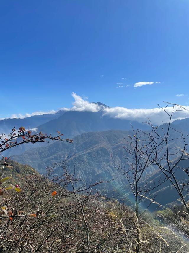 河南又一山走红,海拔2413米,被誉为 “中原之巅”景色不输云台山