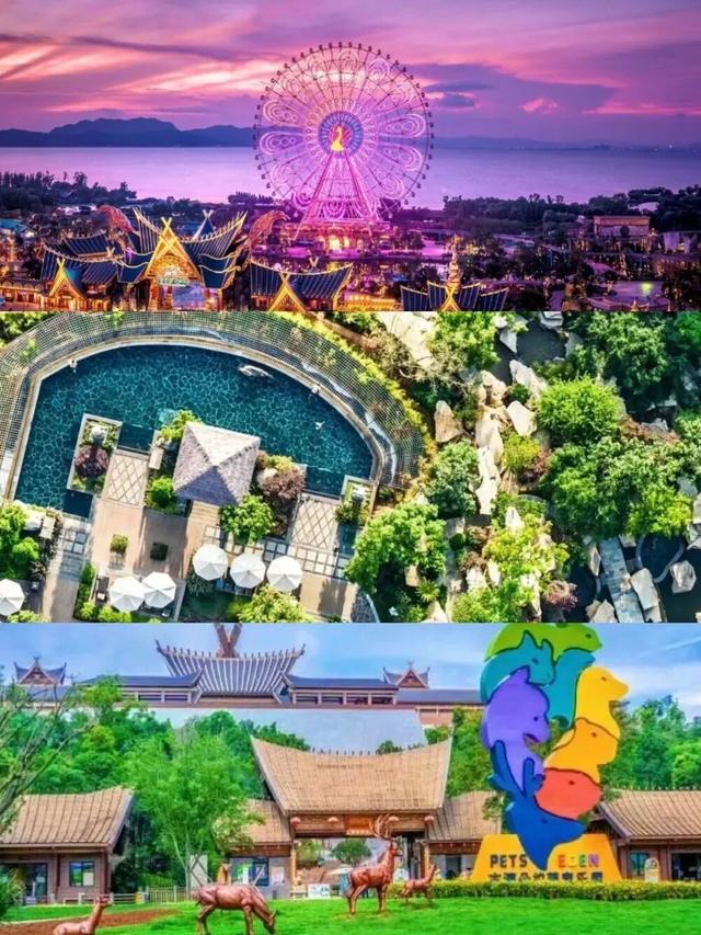 一下飞机，上海阿姨们就被昆明暖到了，除了气候更让她们欣喜的是......