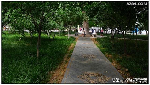 山东行游影记（18）—济南山东大学（五）