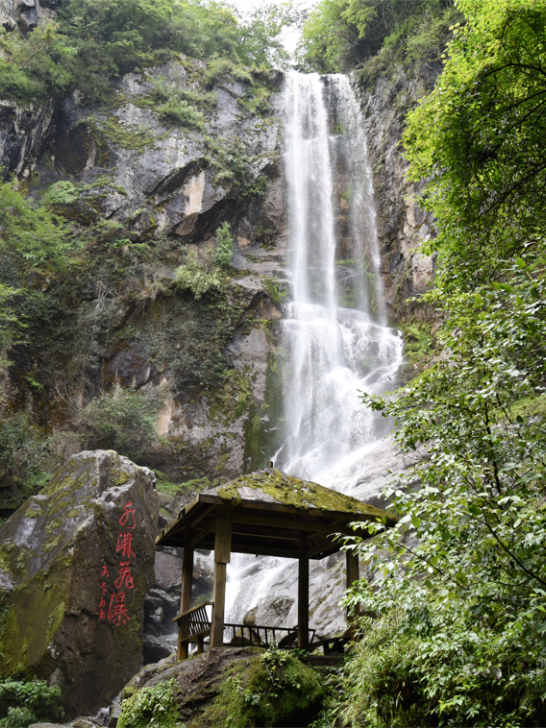 广元不远 周末优选 | 即将入伏，我选择唐家河做我的避暑解药！