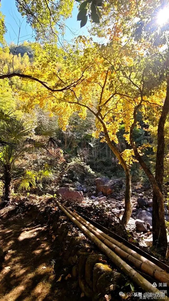 踏秋胜地,天脊龙门!浙江这个4A级景区已美成童话,等你来打卡