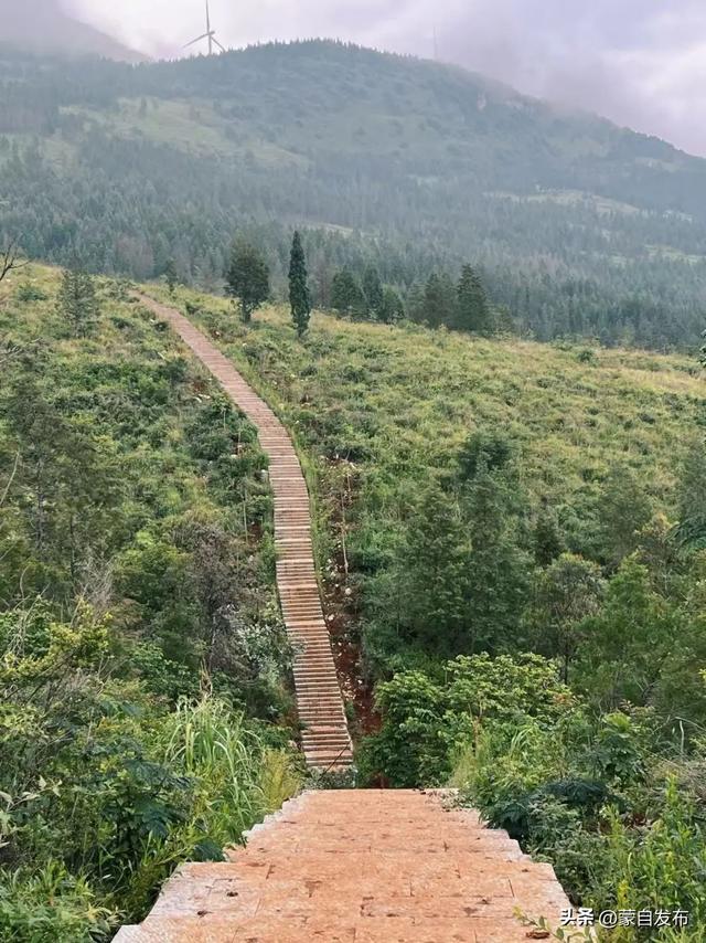 狼蟒山巅架“天梯”，蒙自登山步道催生“徒步热”→