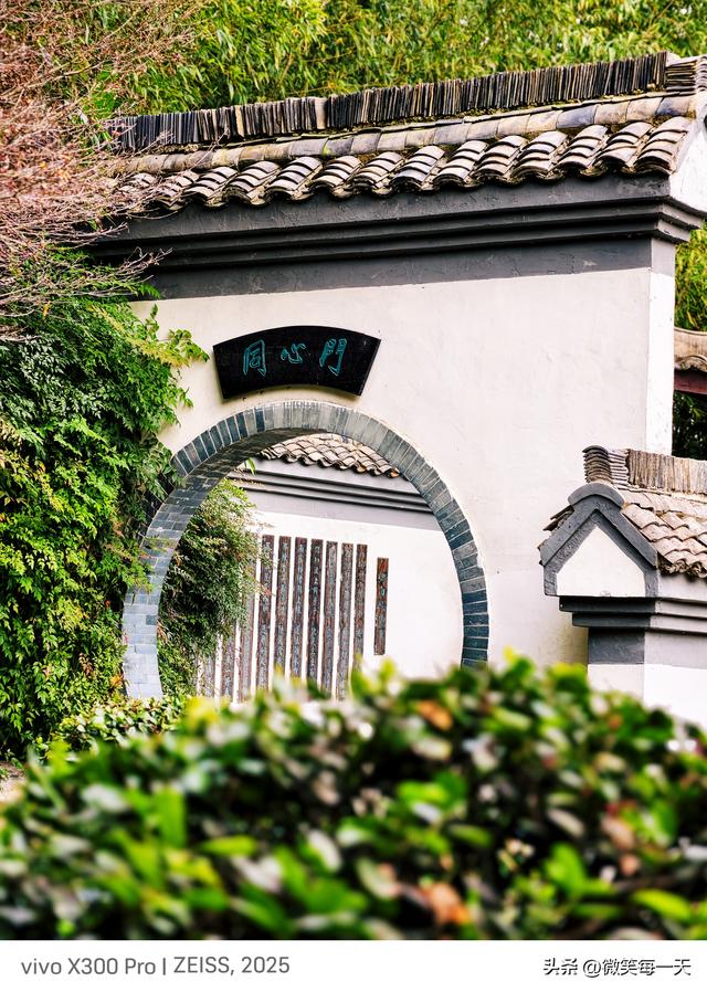 晨雾裹着秋香闯了金山寺，我在亭台里捡到一整个江南