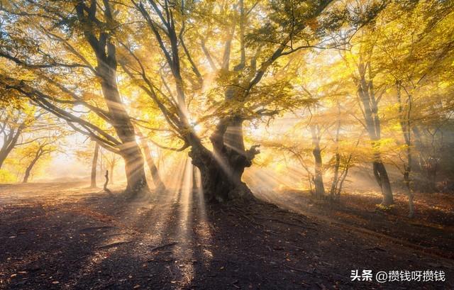 我有3个高中同学，全都中年返贫了，这5个坑，一个都不能踩！