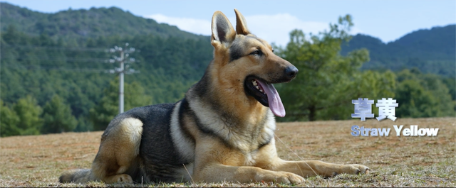 昆明：走遍天下的金字招牌