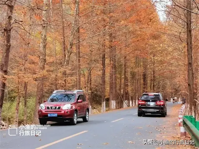 陕南秦岭自驾，这条赏秋秘境小环线，色彩浓度超标！太过瘾