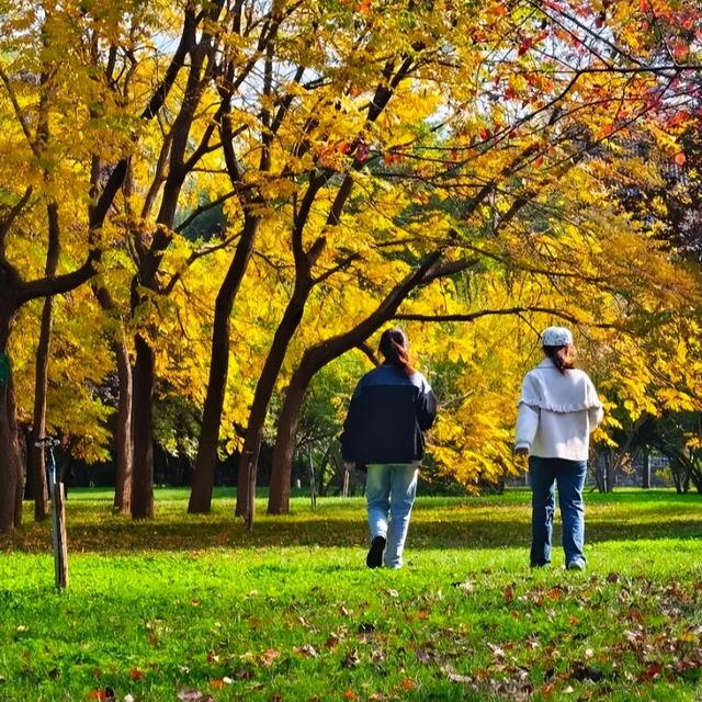 七里河畔晨光好 文明城市气象新