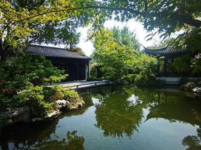 流量密码进化史：从影视IP到“文化+互联网”的破圈