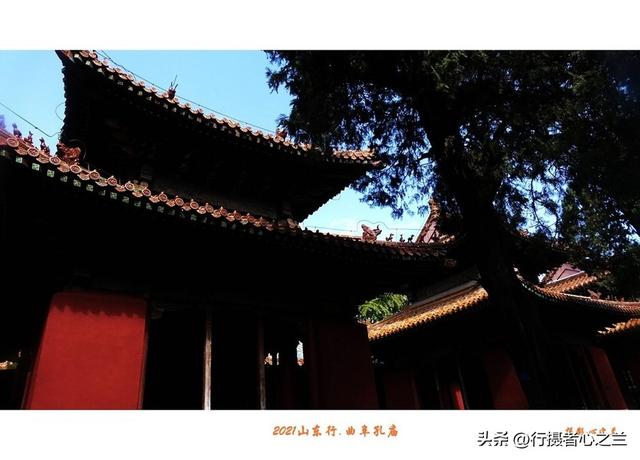 山东行游影记（214）—曲阜孔庙（九）