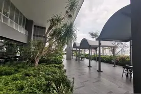 狗剩快跑，编剧太不严谨了！图片