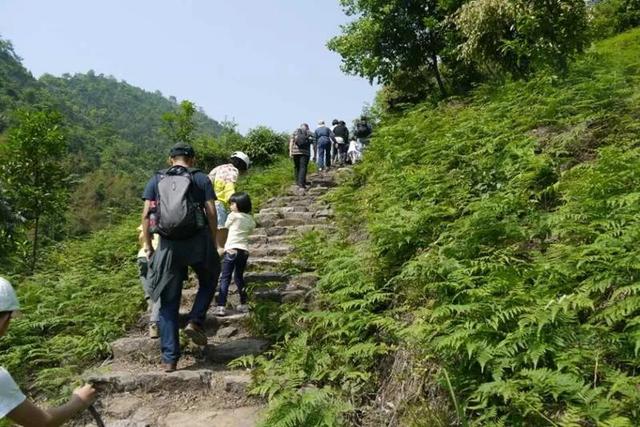 富阳3条古道，全省出名了！经过你们村吗？