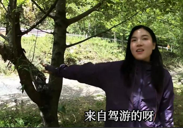 35岁美女被渣男骗财骗色，开二手面包进藏 寻爱情，择偶要求引群嘲