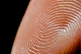 命里有没有财，看指纹便知？中科院破解“斗”和“簸箕”的奥秘图片