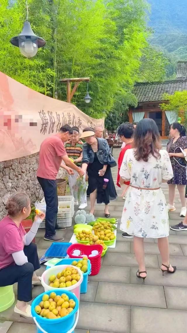 【臻悦名山·养心季】“文商农旅体”融合发展的天台后山疗愈新范式