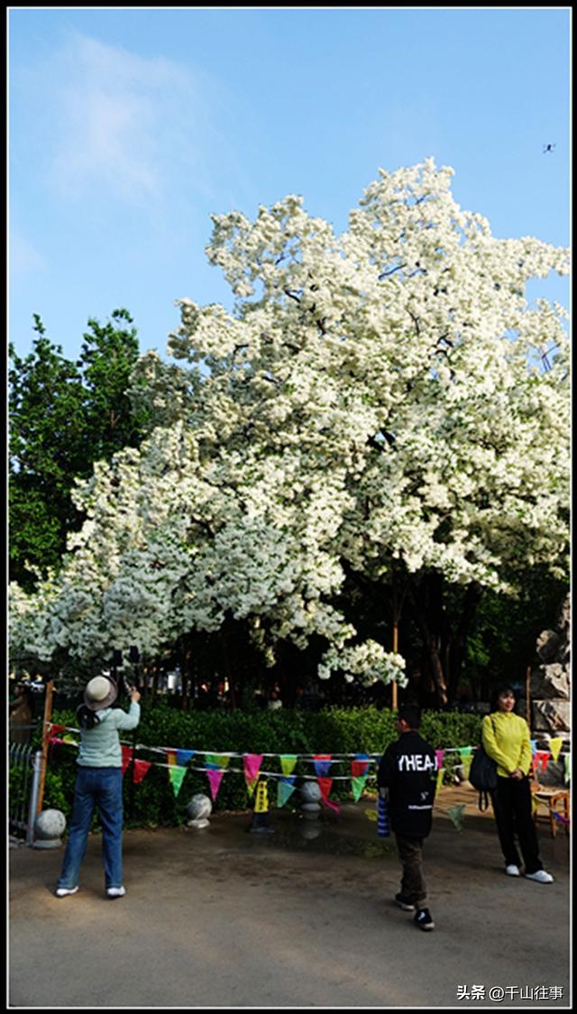 银絮伴轮行：美利达狼8，180公里薛城→济宁戴庄医院流苏探访评测