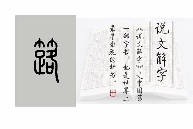 《说文解字》第932课：“箭竹”的几个别名