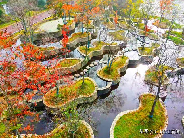 河南淮滨：初冬文化园更艳丽