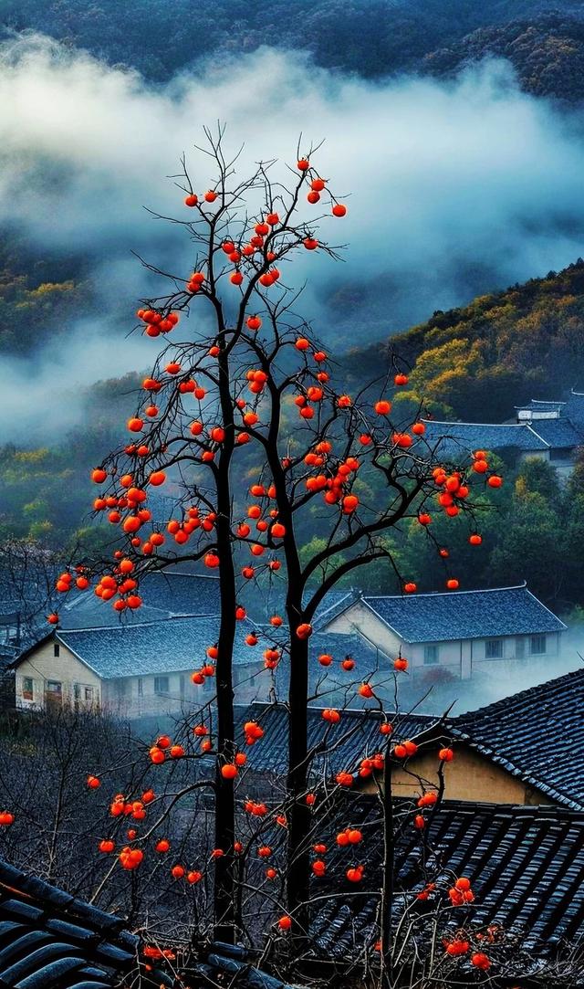 #秋天硕果累累的季节 #风景如画 #秋意渐浓