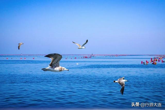 大连初冬看海，人少，景美，速来！