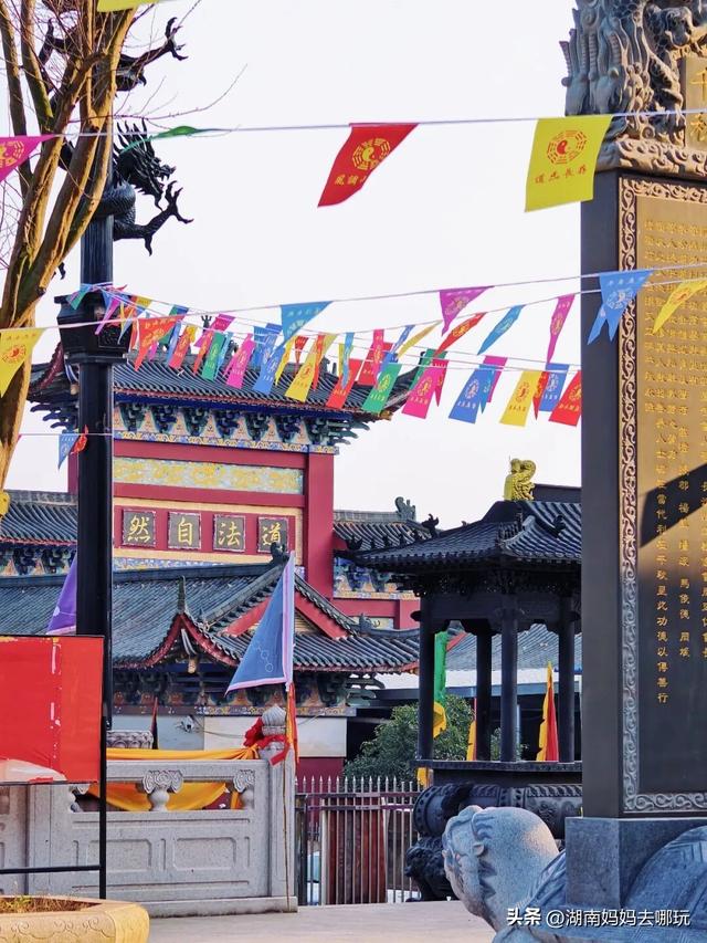 公交直达冬日限定“小东非”，带娃解锁长沙safari隐藏玩法！