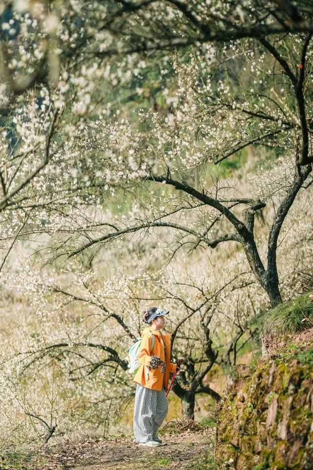 满屏梅花🤩不用怀疑！你期盼的春天提前来了！