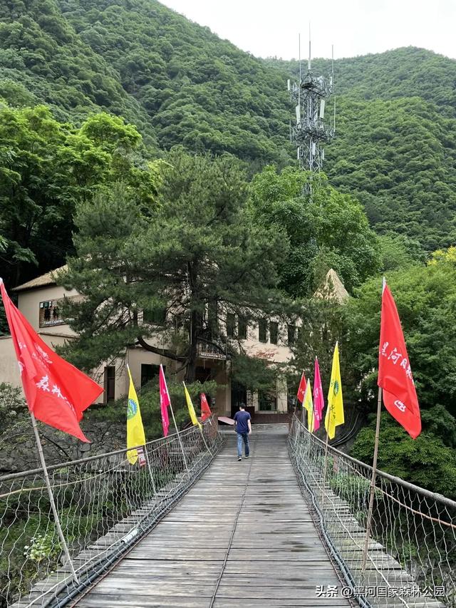 西安山美水美的清凉秘境！夏天来黑河避暑旅游太爽了！