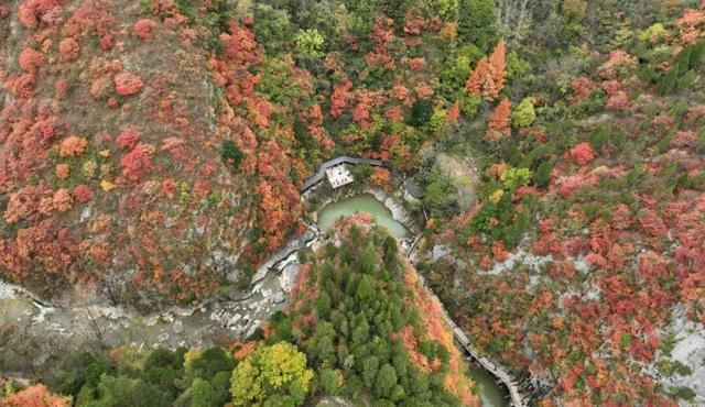 这才是秋天该有的样子~