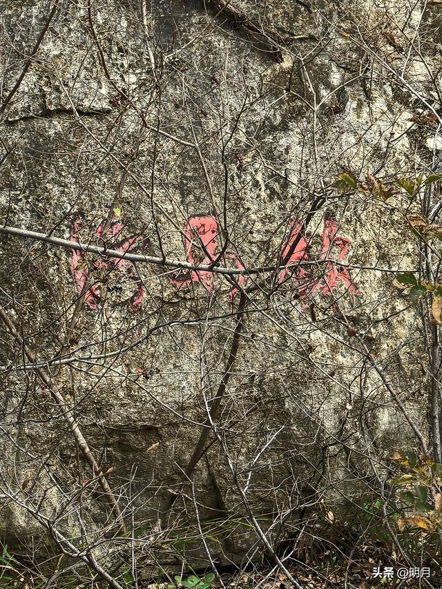 龙洞胜境尤奇崛