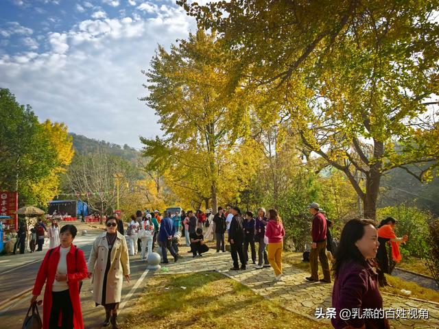 一场浪漫的出走，被惭愧偷换了终局