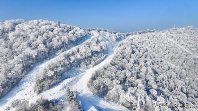 今冬哈尔滨冰雪大世界将扩大到120万平方米，解锁冬日新玩法