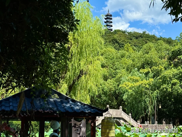 这个浙江“美人景点”着实抢眼，秋日中节目惊艳，可享受古越风情
