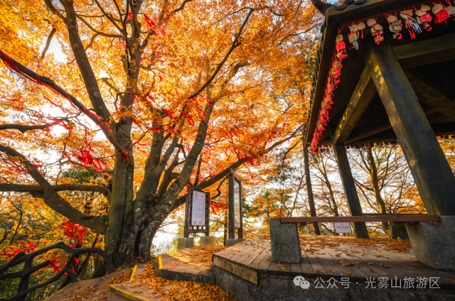 宝子你听我说，近期天气好、红叶美，光雾山可以冲了!