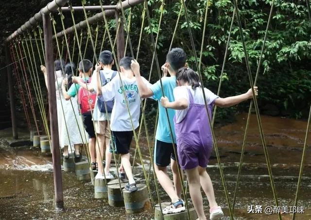 “两山”理念20年丨成都天台山：擦亮萤火虫IP，生态保护与经济效益双丰收‌