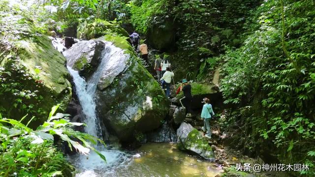 揭开龙陵古城山神秘面纱：层峦间藏着的世界级自然奇观